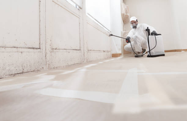 24/7 Emergency Mold Cleanup experts in Ashland, VA