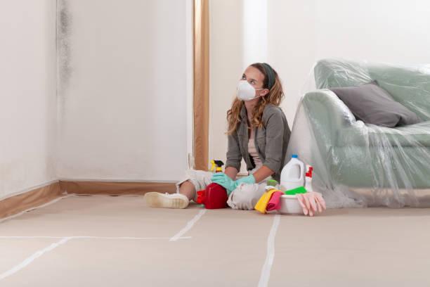 Reliable Mold Cleanup contractor in Ashland, VA by Cheap Mold Removal